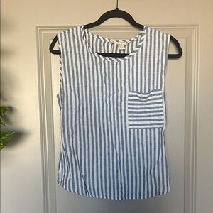 J. Crew Striped Blue and White Tank Top